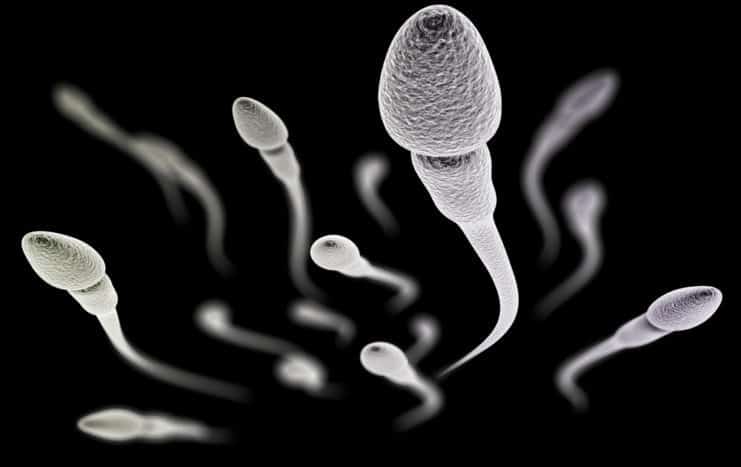 sperma minősége
