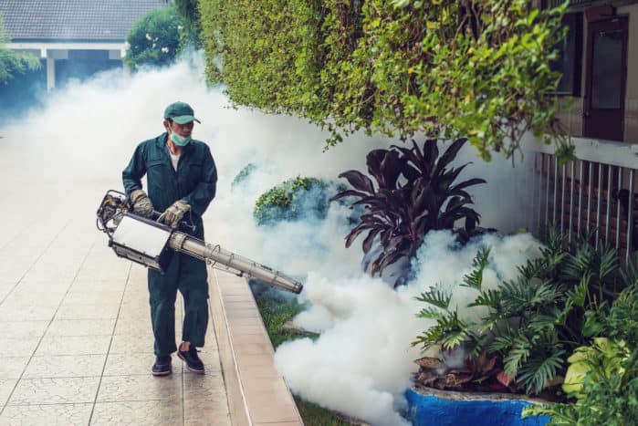 ködös gáz a dengue szúnyogokban