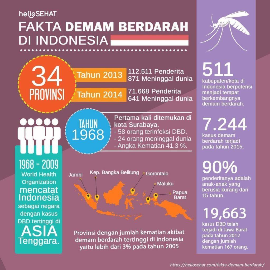 dengue láz hellosehat Indonéziában