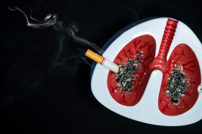 a tüdő a dohányzás abbahagyása után helyreáll