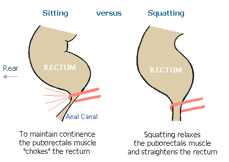 ülő vs guggoló